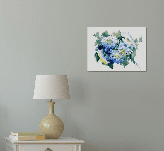Blue Hydrangea Flowers