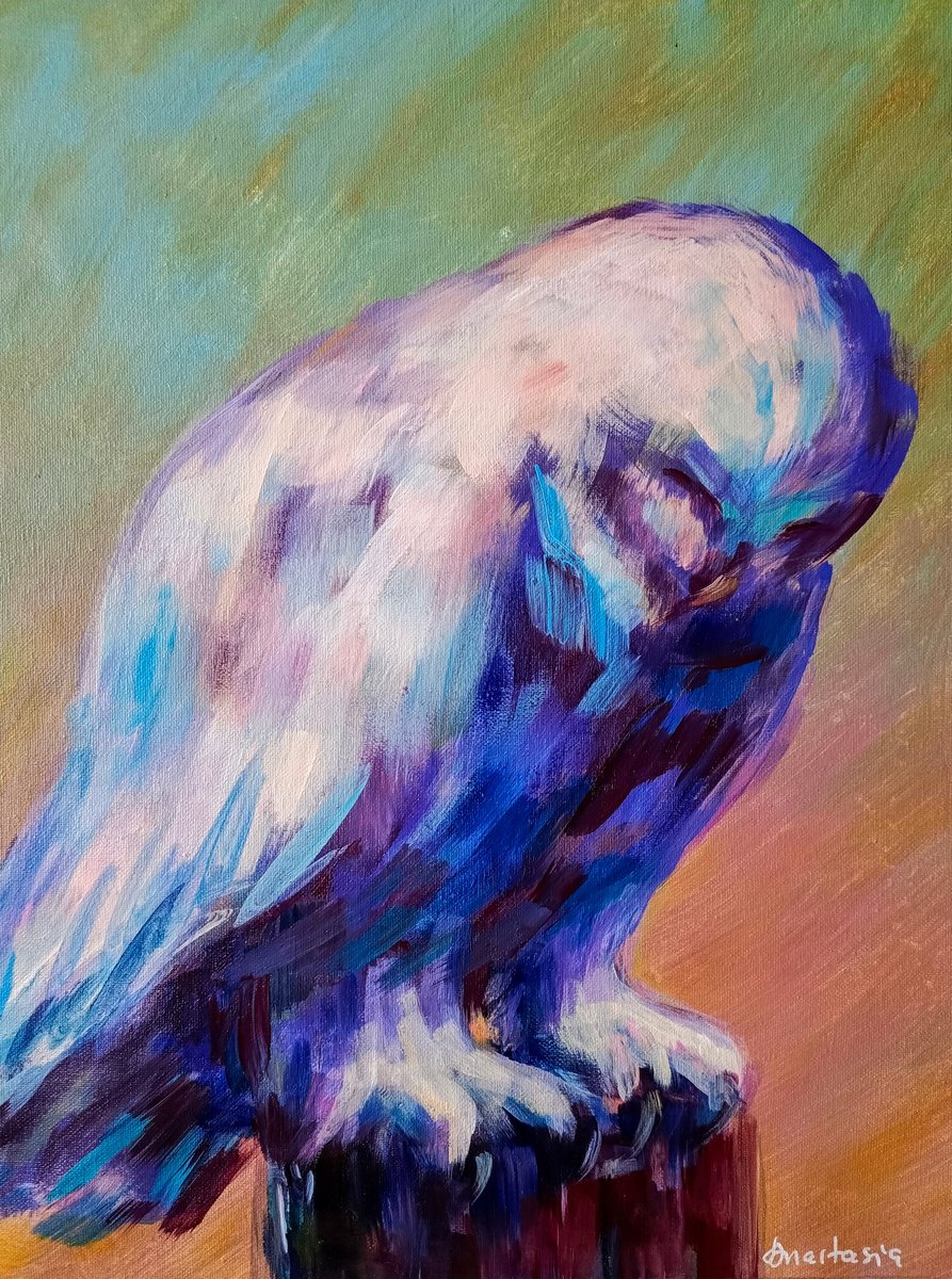 White polar owl Birds art by Anastasia Art Line