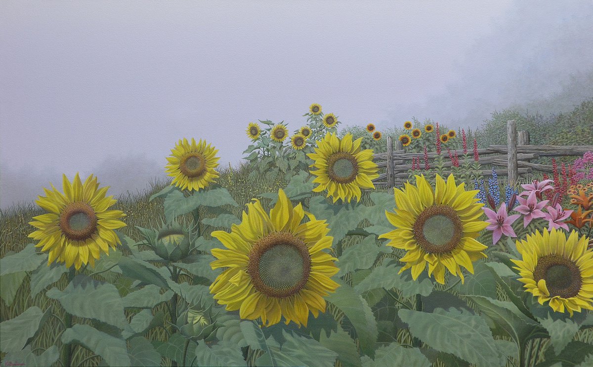 Sunflowers by John Kaltenhauser
