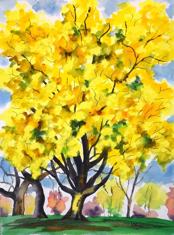 Yellow Tree on Minnehaha Parkway