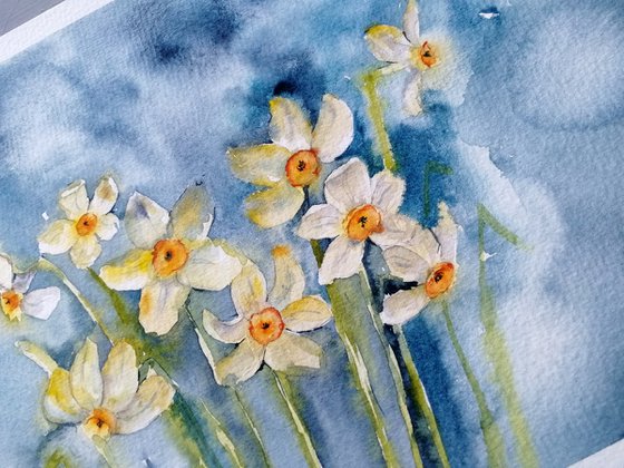 Daffodils