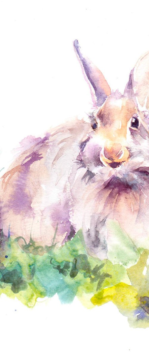 Eastern Cottontail Rabbit, original watercolour painting by Anjana Cawdell