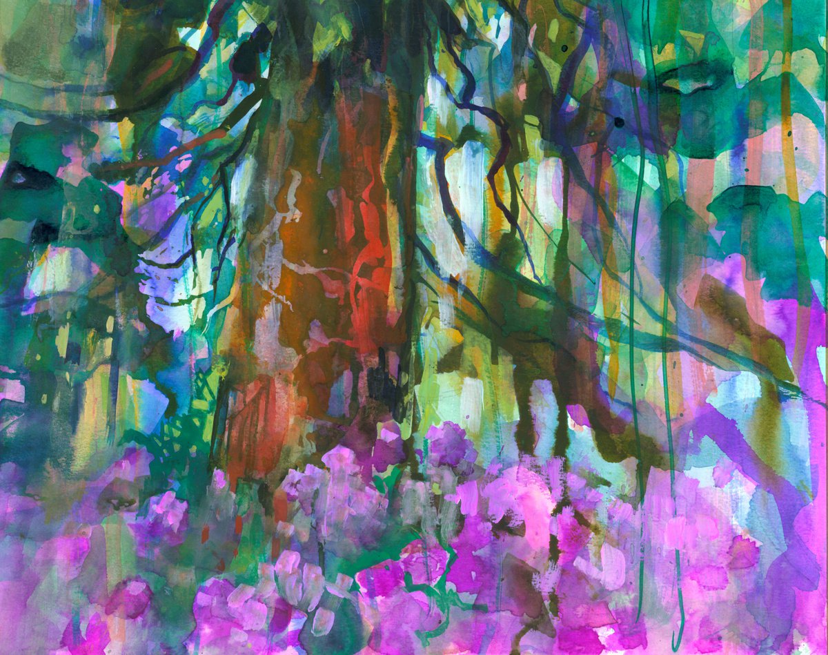 Redwood and Rhododendrons by Patricia Murray