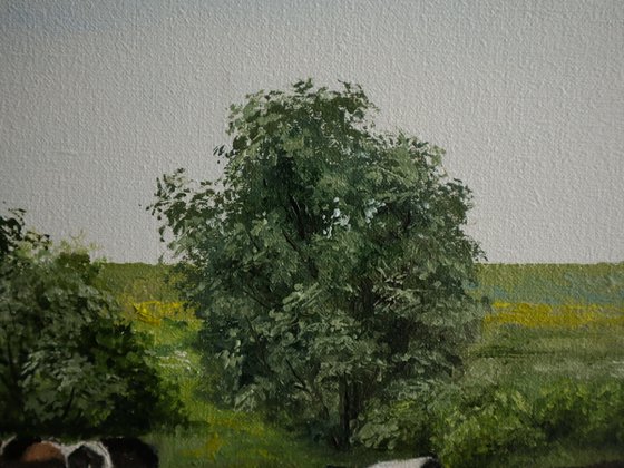 Grazing Cows in Summer