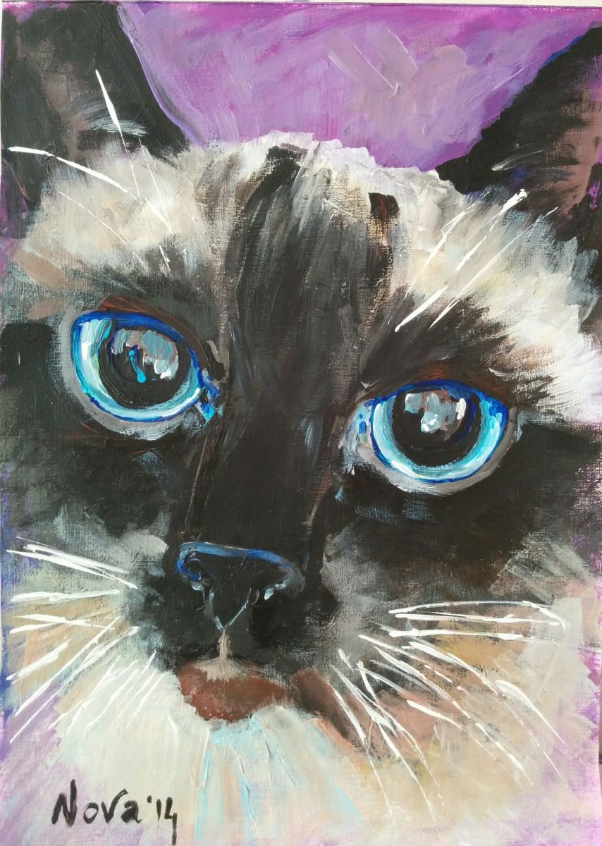 Cat Portrait. Close Up By Jelena Nova, 12 X 17, Artwork For Sale On Artfinder
