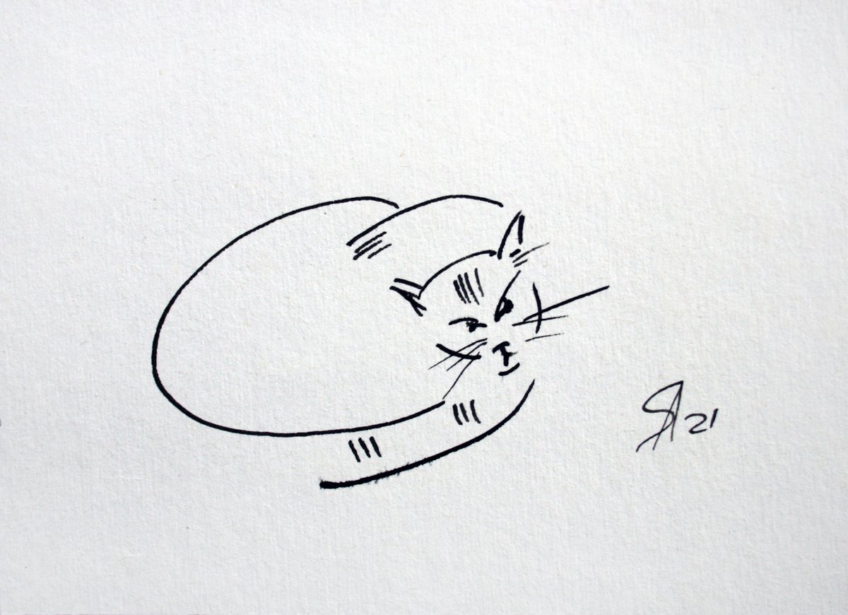 Animal Ink Drawing By Salana Art / Svetlana Samovarova, 7 X 5", Cat Portrait Vii, Original Artwork