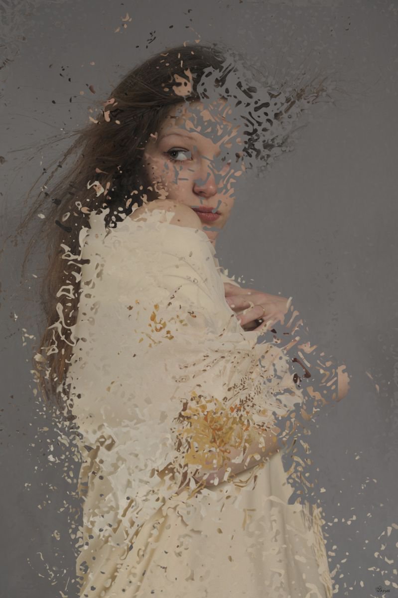 Illustrative Portrait Photograph By Bojan Jevtic, 29 X 43, Don