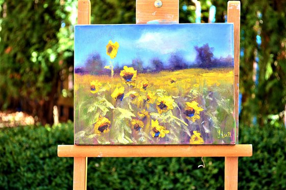 Sunflowers field 3D