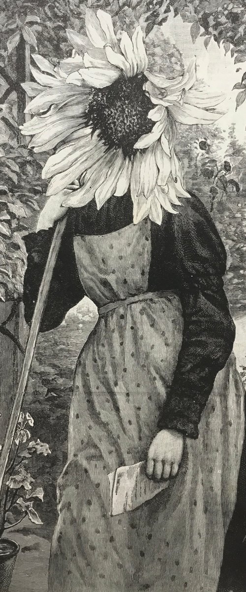 Working in the garden by Tudor Evans