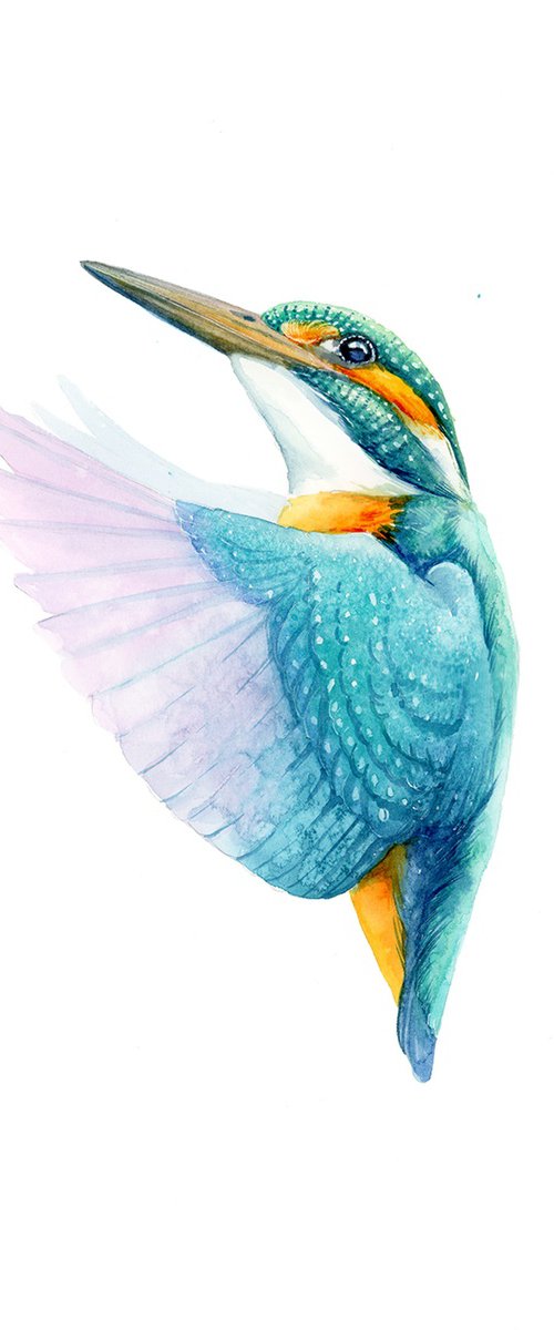 Flying Kingfisher by Karolina Kijak
