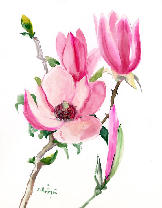 Pink Magnolia Flowers