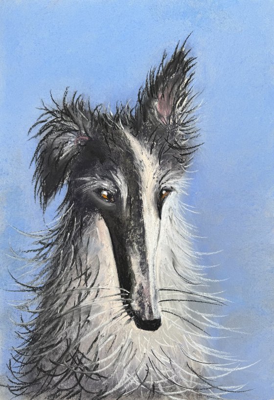 Dogs Portraits Soft Pastel