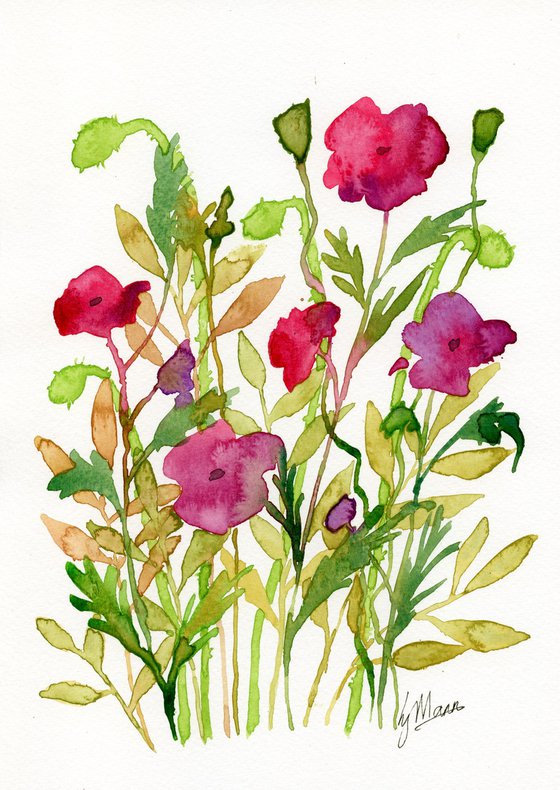 Poppies