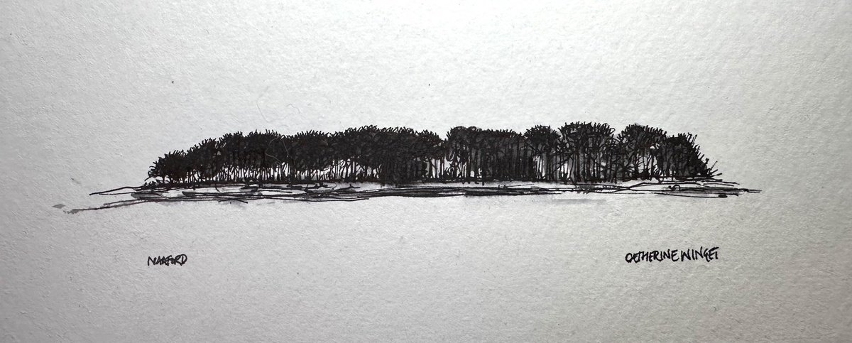 Landscape Ink Drawing By Catherine Winget, 9 X 8, Trees In Pen And Ink - Norfolk Landscape, Original Artwork