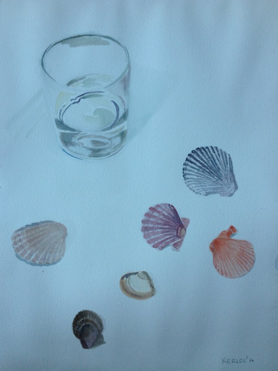 Glass of Water and Shells by Anyck Alvarez Kerloch