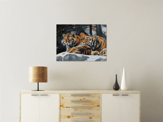 Love of the Amur tigers