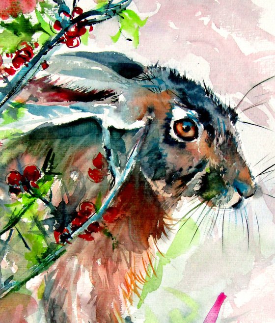 Rabbit in the grass II