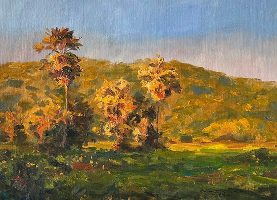 “A Dialogue Between Light and Shadow at Dusk”