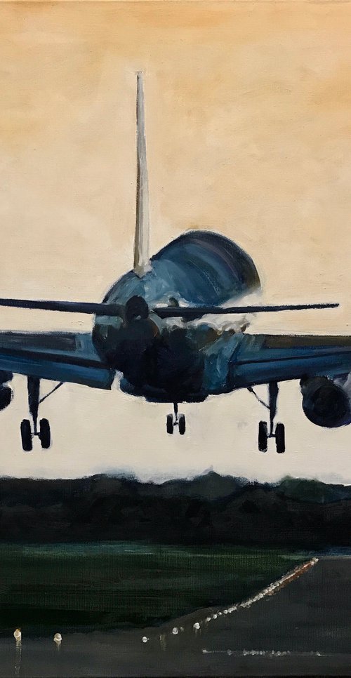 Landing in Dublin by Romuald Mulk Musiolik