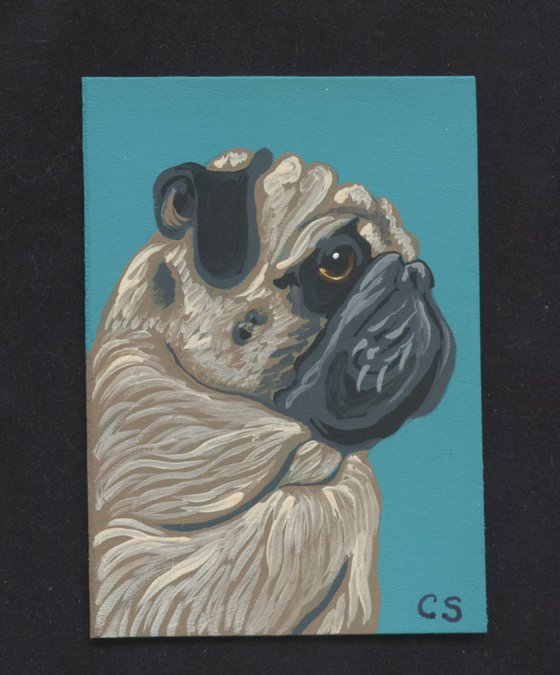 ACEO ATC Original Miniature Painting Fawn Tan  Pug Pet Dog Art-Carla Smale