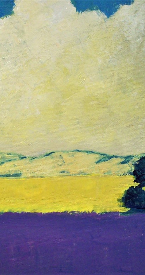 Lavender And Yellow Flowers Near Sequim by David J Edwards