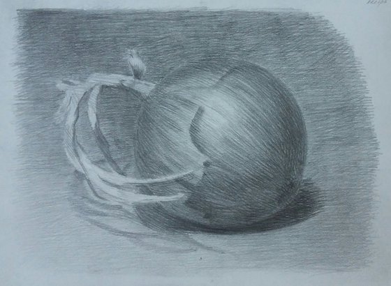 Still life # 2 Onion. Original pencil drawing.