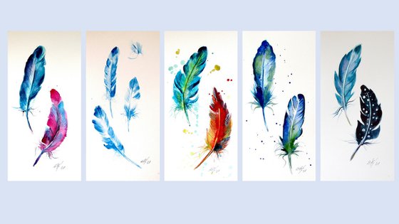 Feathers collection