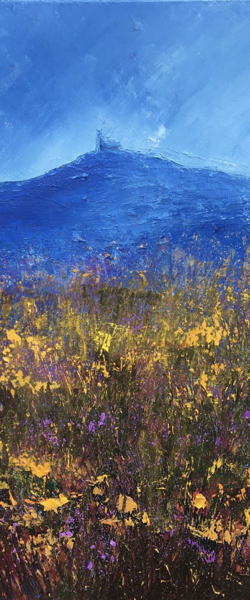 Heather And Gorse At Brentor by Laure Bury