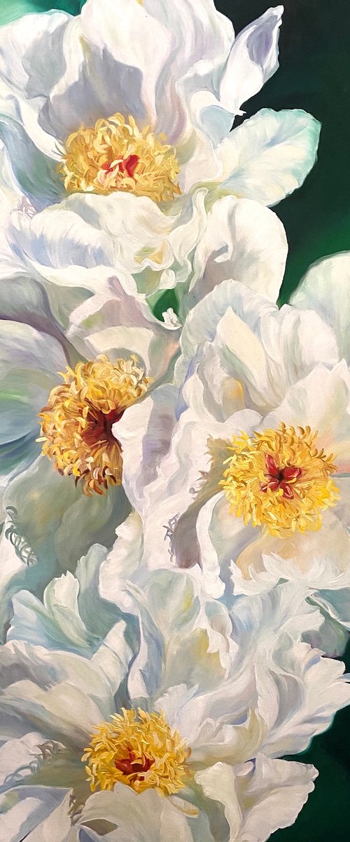 Eloquence by Anita Nowinska