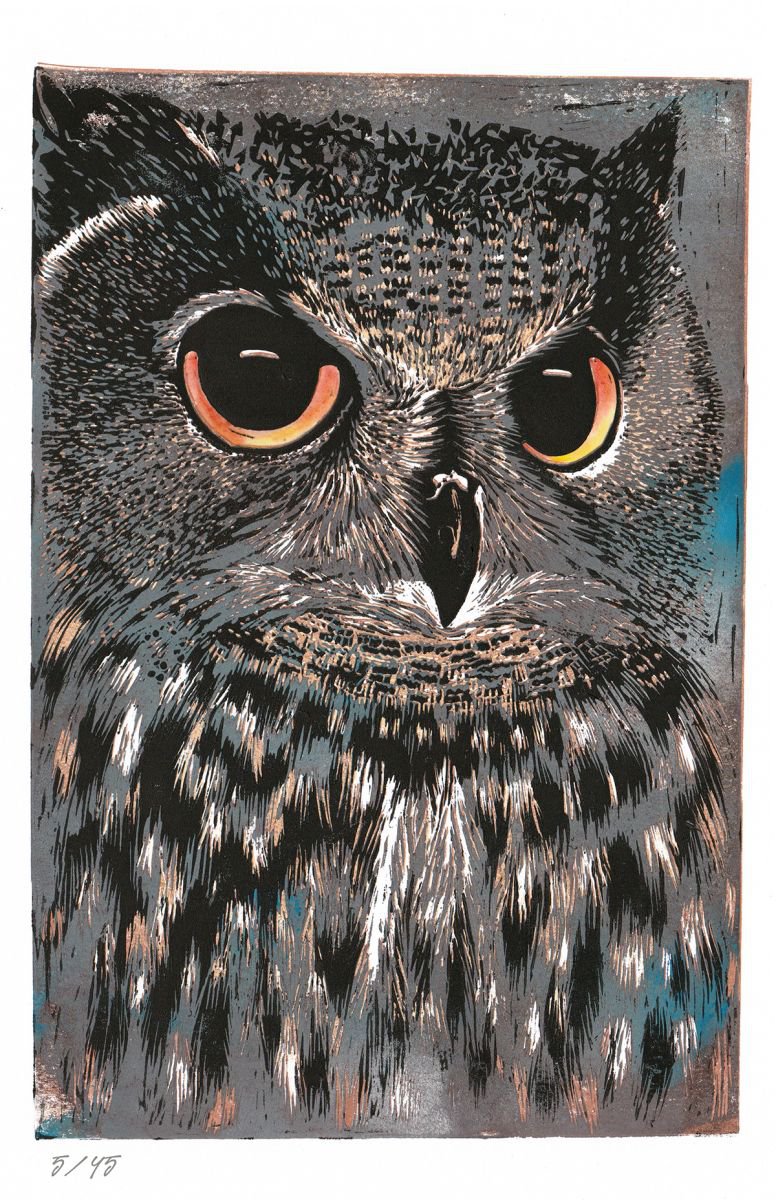 Owl 5 by Hazel McNab