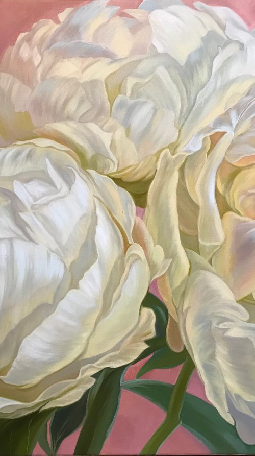 White peonies by Elena