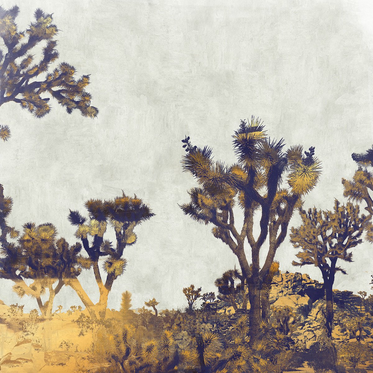 Impressionistic Landscape Photograph By Nadia Attura, 28 X 28", Joshua Tree, Original Artwork