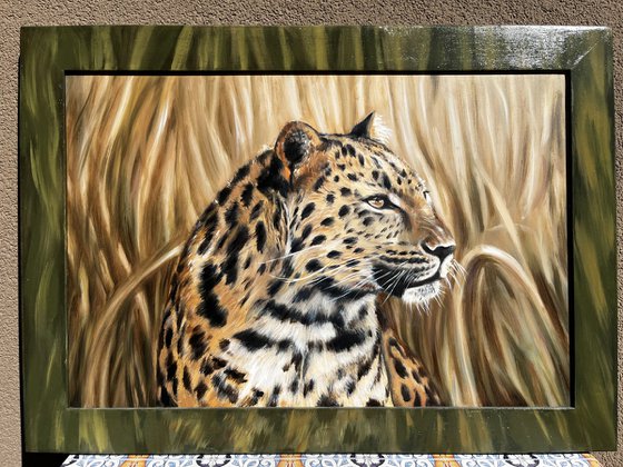 The Silent Watcher: Amur Leopard