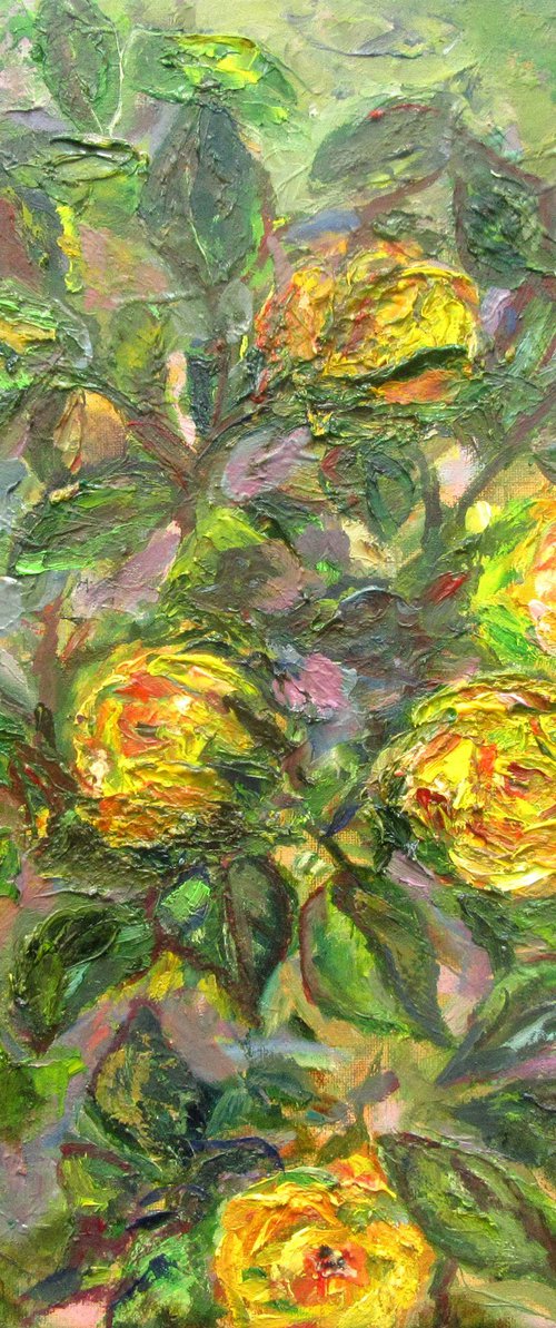 Blush Yellow Roses by Katia Ricci