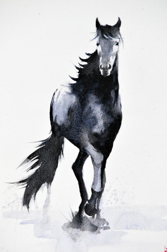 Black Horse