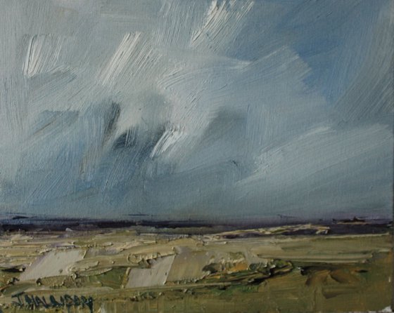 Spring Field