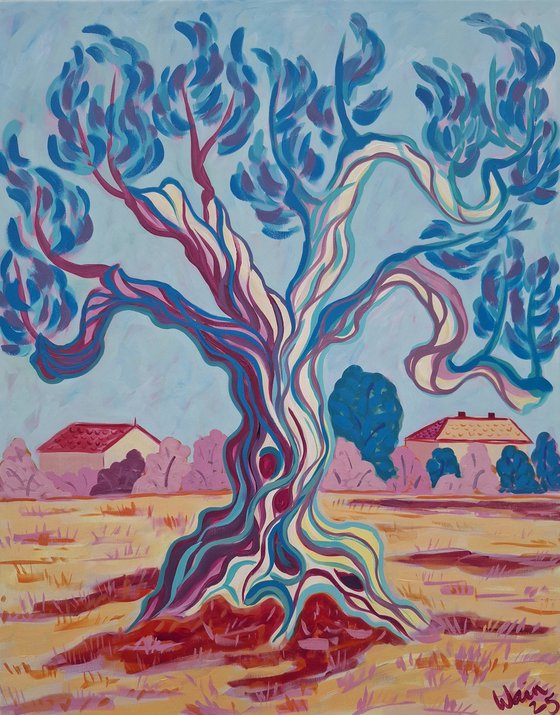 Olive tree on Cami de Altea 2