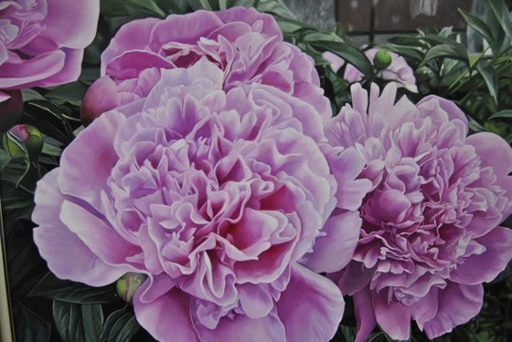 Peonies IV, Oil on Canvas Art