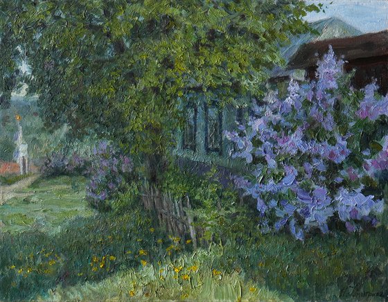 Blooming Lilacs