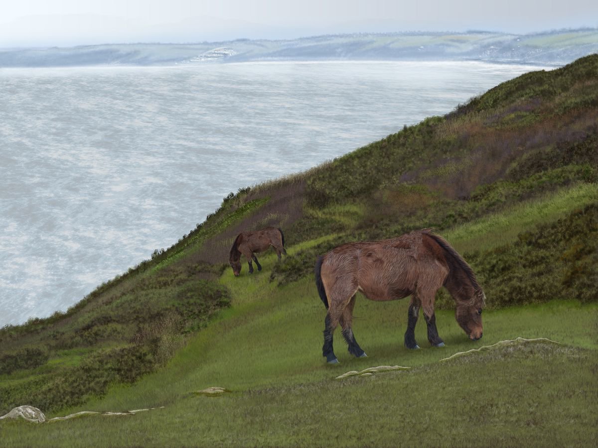 Queen of Rame by Nigel Follett