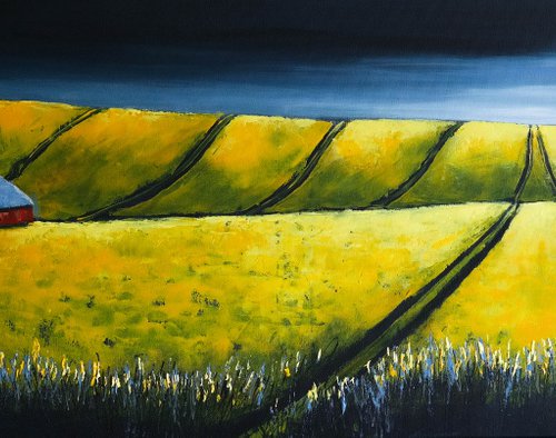 The Horizon lines - Fields and Colors Series by Danijela Dan