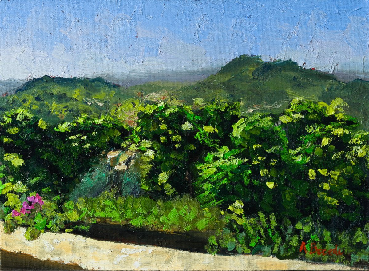 Carmignano Vista By Andrea Bocedi, 10 X 7, Artwork For Sale On Artfinder