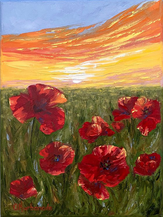 Warm poppies