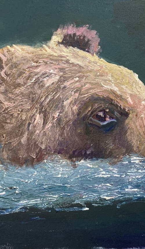 Bear Swimming In by Ryan  Louder