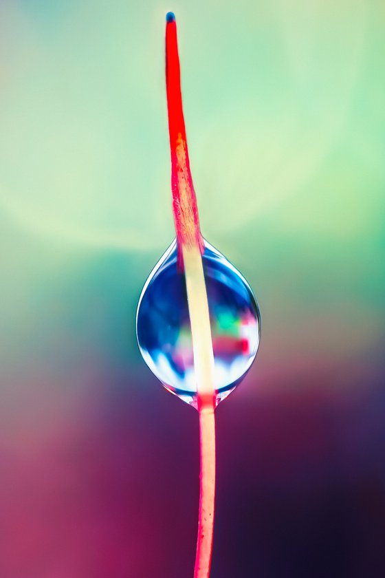 Be Bold - You are beautiful!