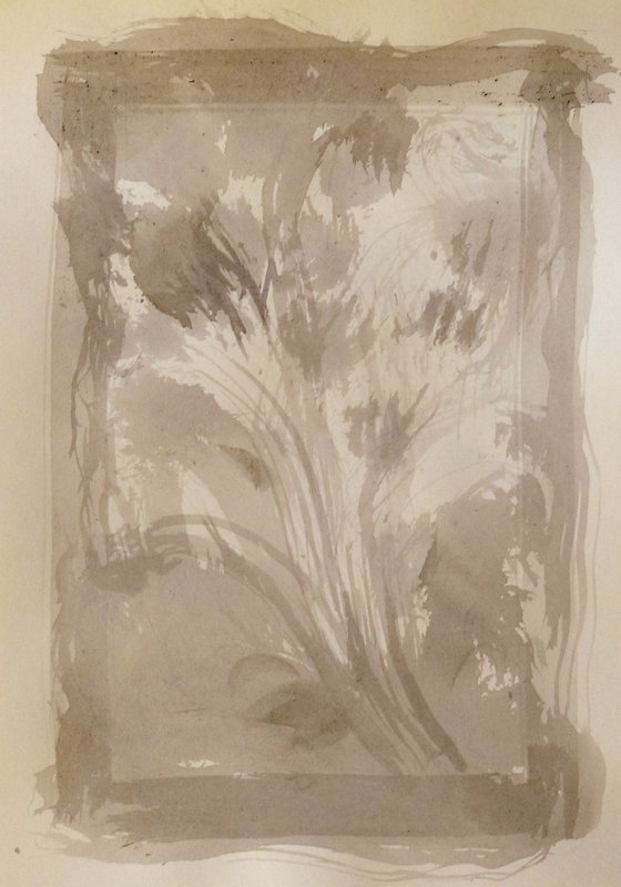 Transparent Bouquet