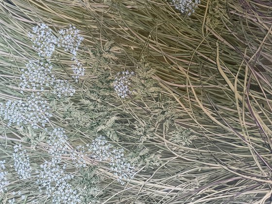 Among the Grasses