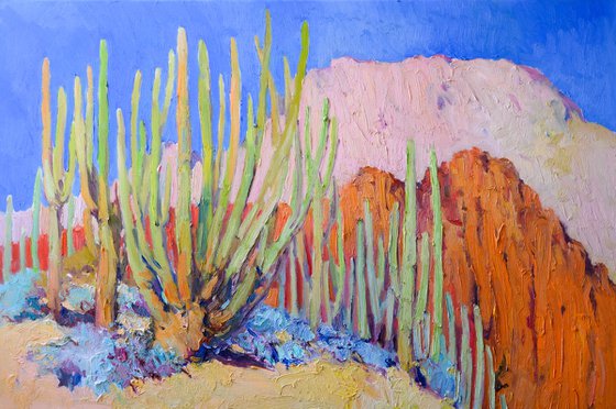 Saguaro Cactuses in the Desert