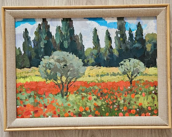 Olive Trees and Poppy Bloom. Landscape