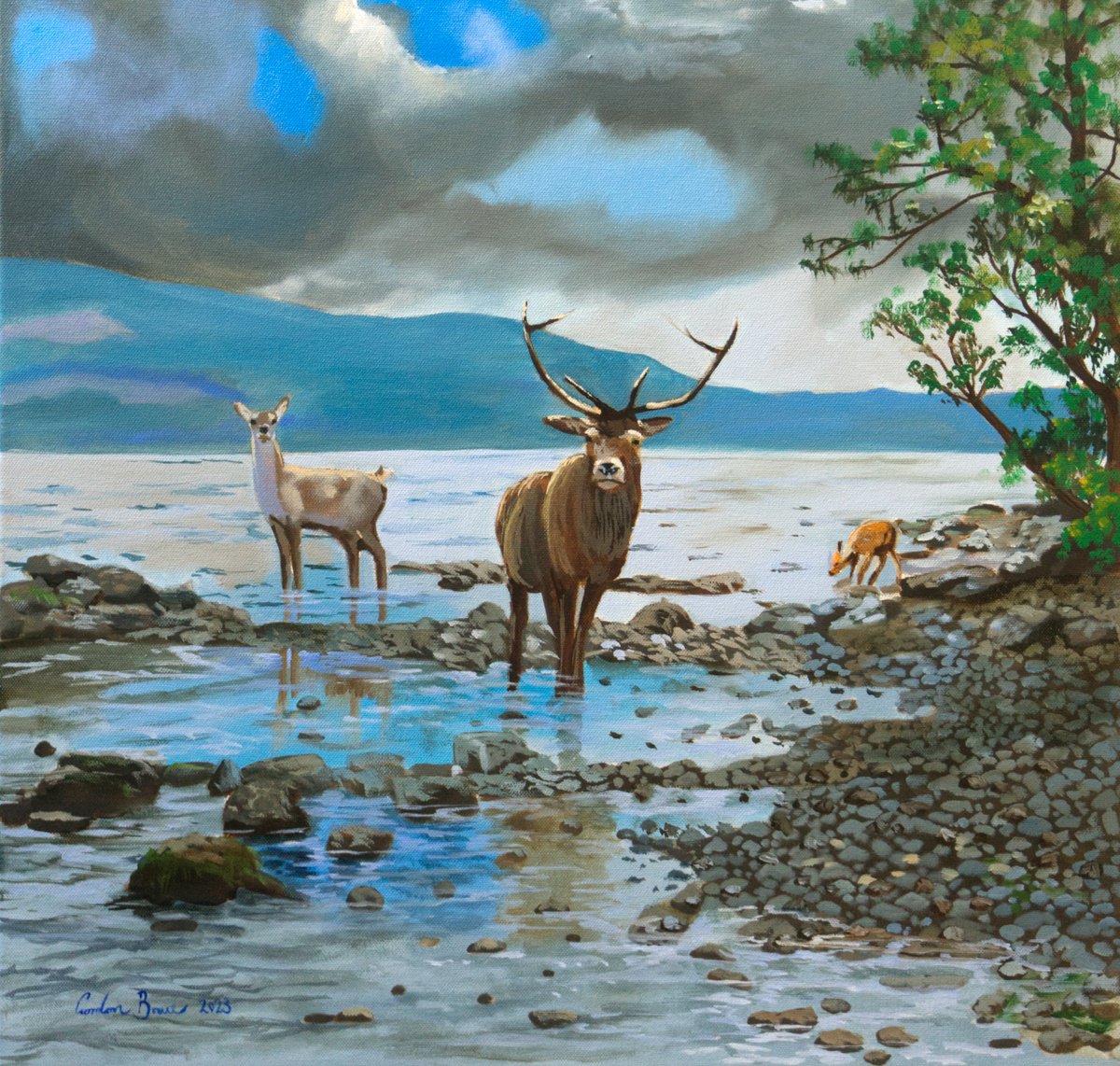 Photorealistic Animal Oil Painting By Gordon Bruce, 20 X 20, Deer Family At Loch Ness, Original Artwork